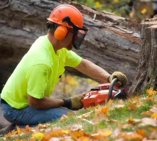 tree services East Lansing